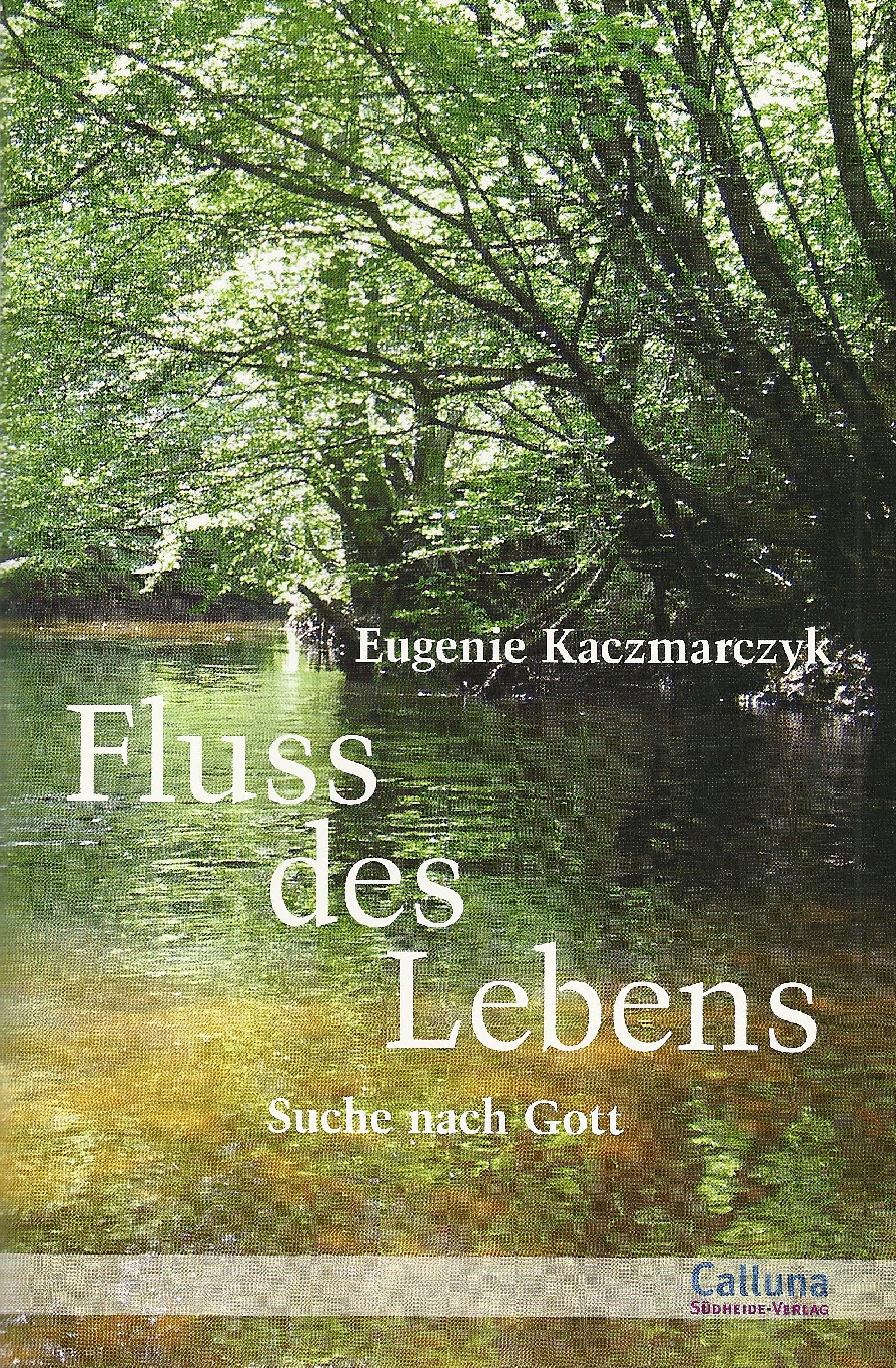Fluss des Lebens